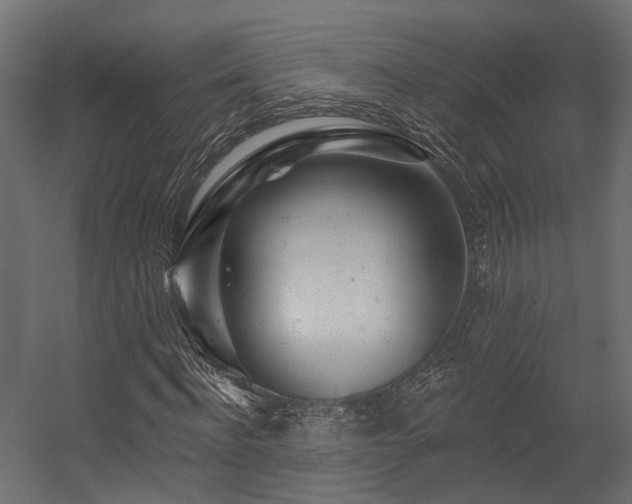 X0000054380916200507291113