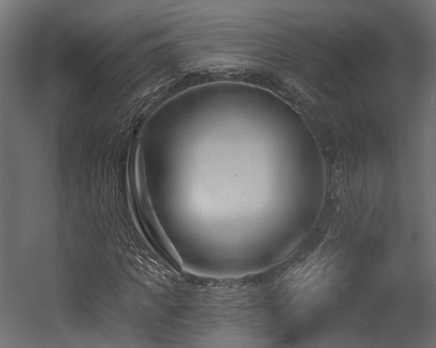 X0000054380917200507291113
