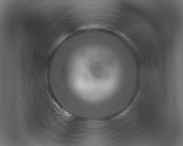 X0000054380921200507291113