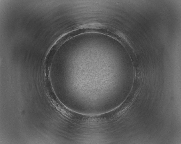 X0000054380923200507291113