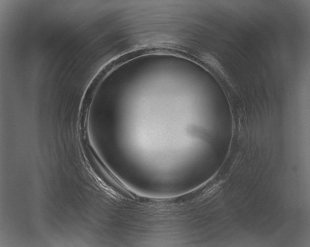 X0000054380924200507291113