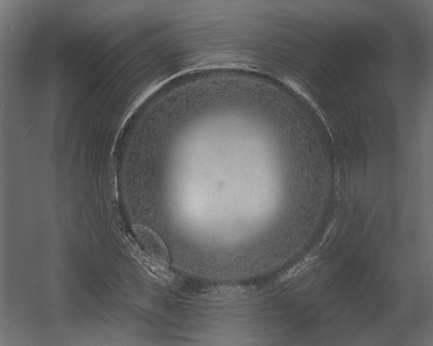 X0000054380925200507291113