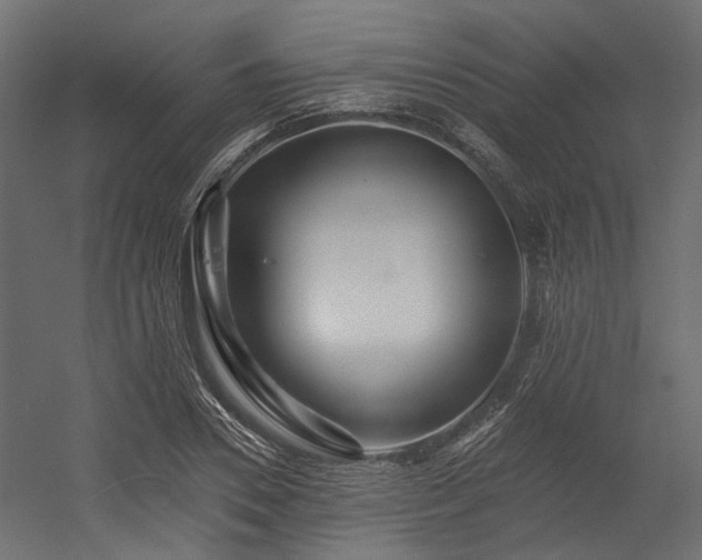 X0000054380930200507291113