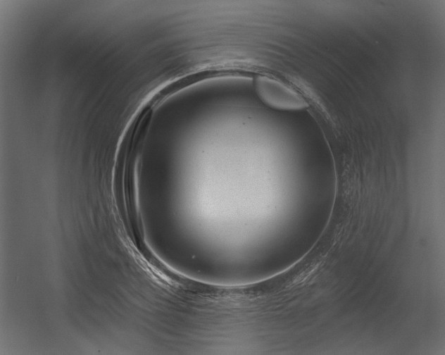 X0000054380932200507291113