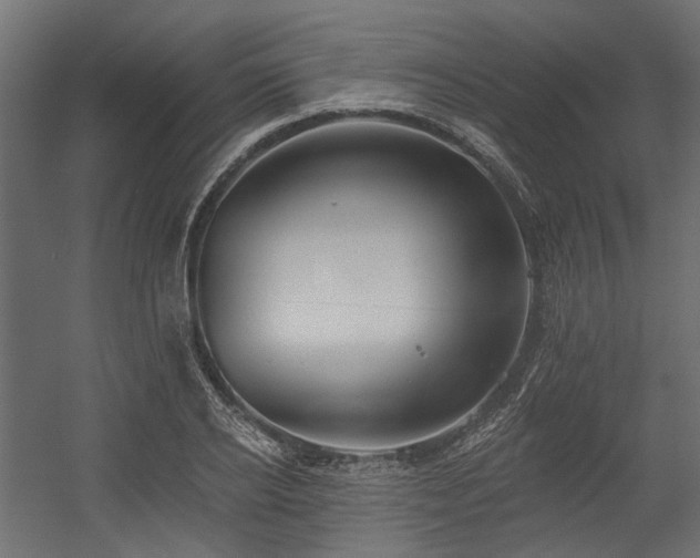 X0000054380934200507291113