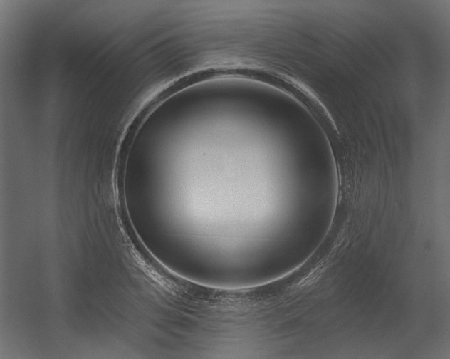 X0000054380935200507291113