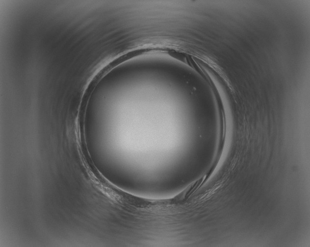 X0000054380936200507291113