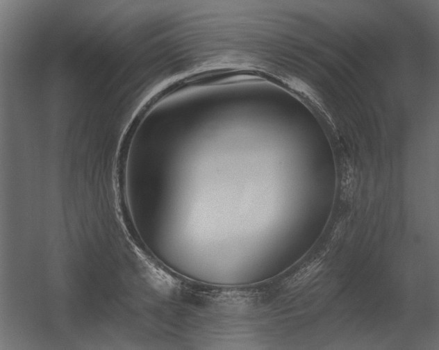 X0000054380942200507291114