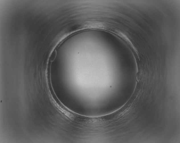 X0000054380947200507291114