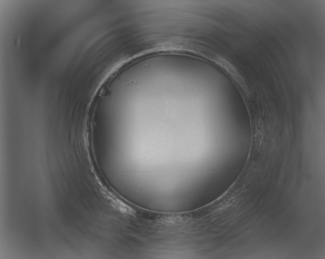 X0000054380950200507291114