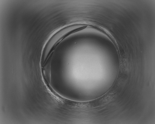 X0000054380951200507291114