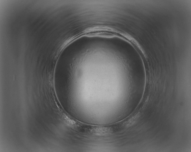 X0000054380953200507291114