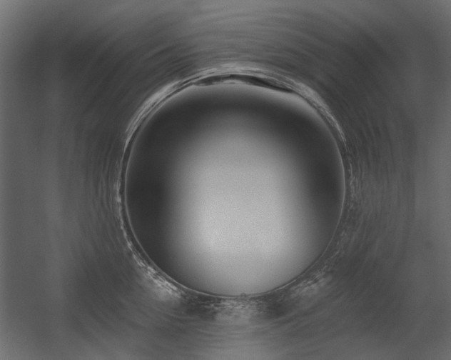 X0000054380954200507291114