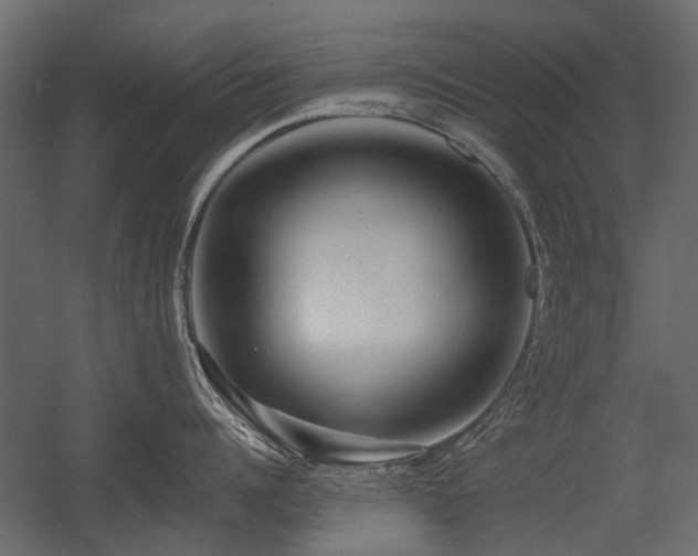 X0000054380960200507291114