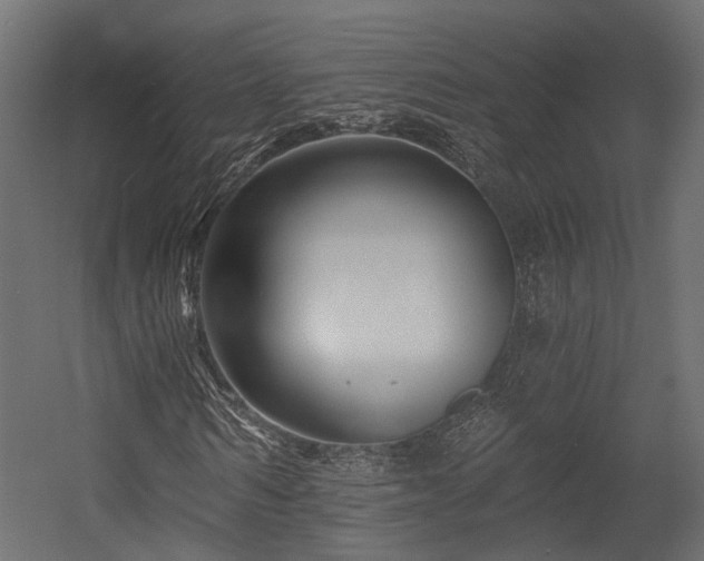 X0000054380962200507291113