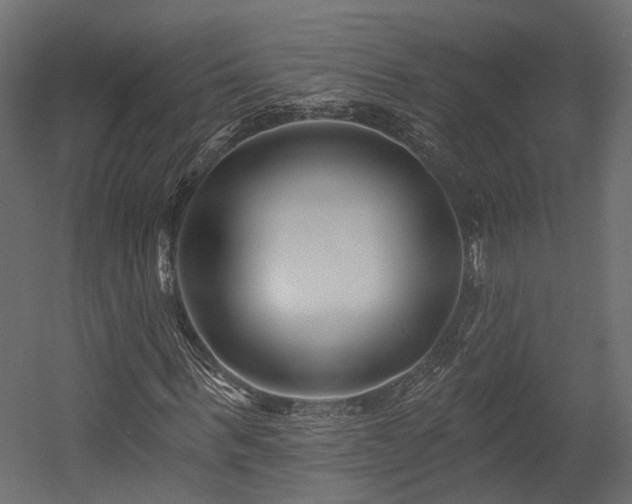 X0000054380963200507291113