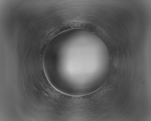 X0000054380964200507291113