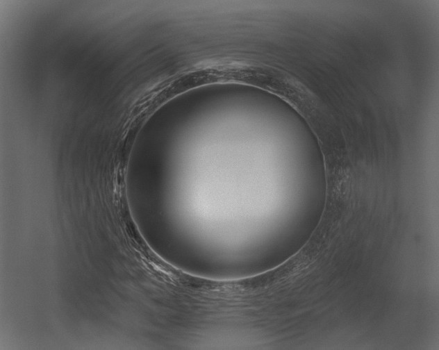 X0000054380966200507291113