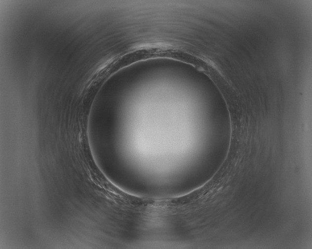X0000054380967200507291113