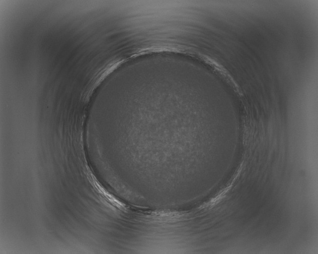 X0000054380977200507291113
