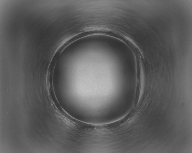 X0000054380983200507291113