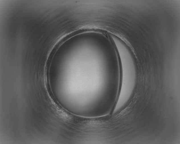 X0000054380984200507291113
