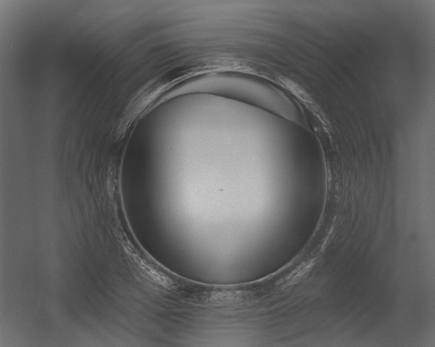 X0000054380985200507291113