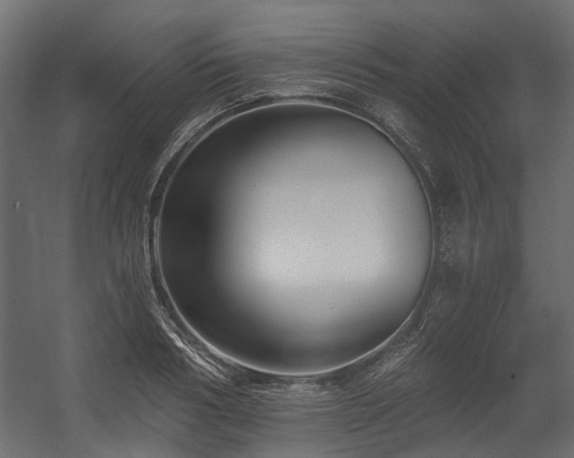 X0000054380986200507291113