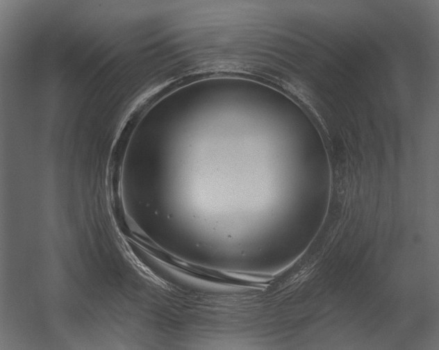 X0000054380987200507291113