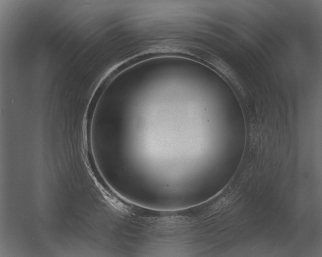 X0000054380988200507291113