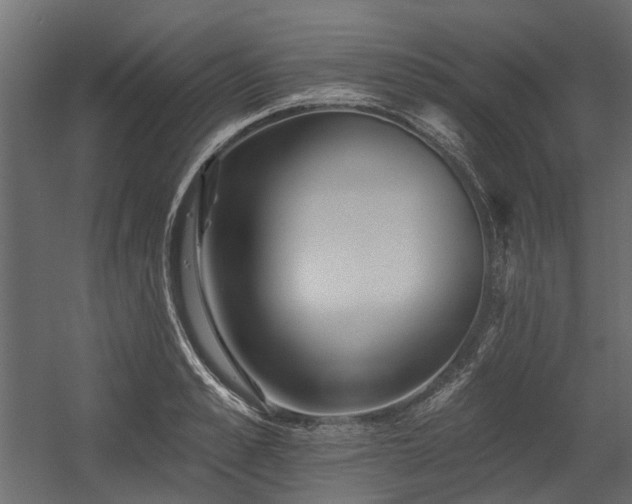 X0000054380989200507291113