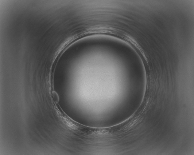 X0000054380994200507291113