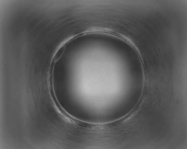X0000054381003200507291112