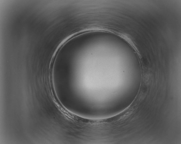 X0000054381004200507291112