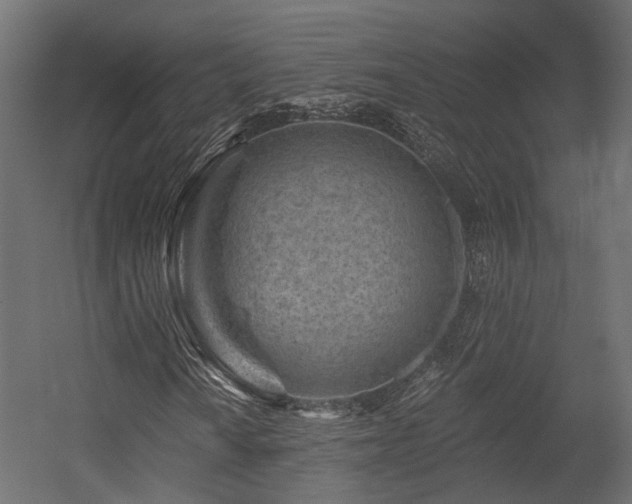 X0000054381010200507291111