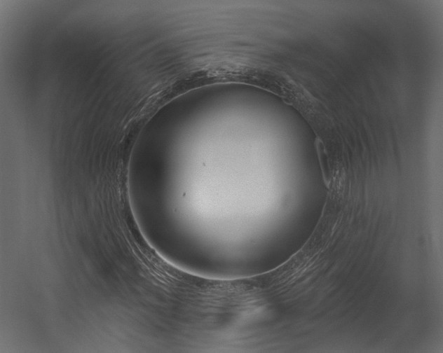 X0000054381012200507291111