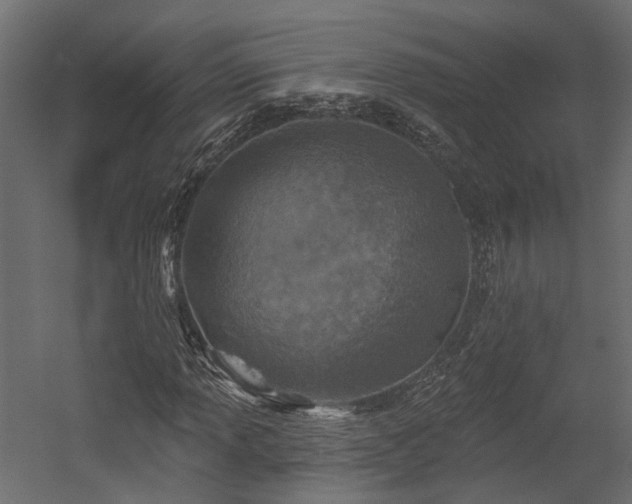X0000054381013200507291112