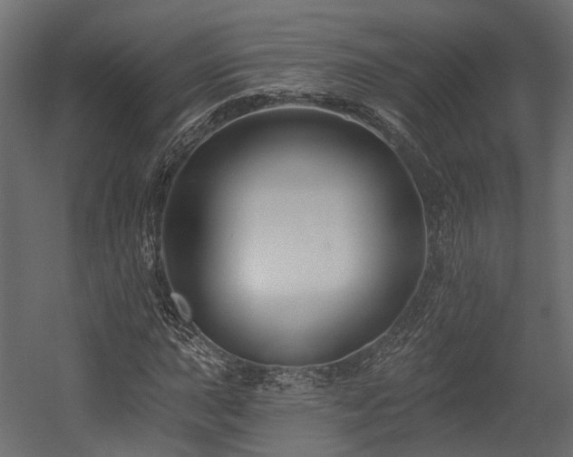 X0000054381015200507291112