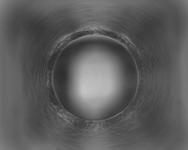 X0000054381016200507291112