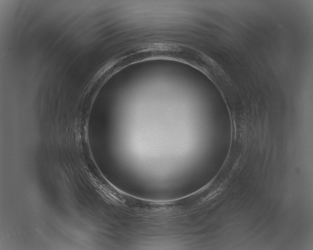 X0000054381017200507291112