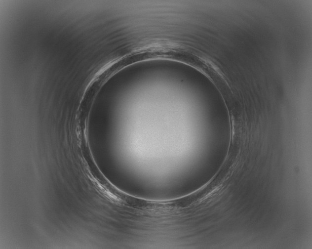 X0000054381018200507291112