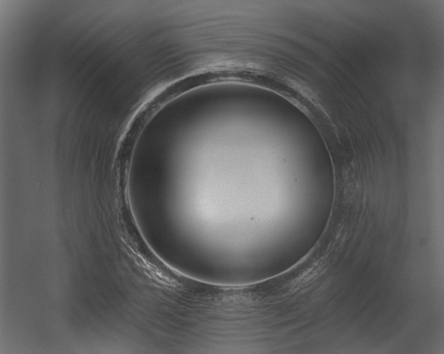 X0000054381021200507291112