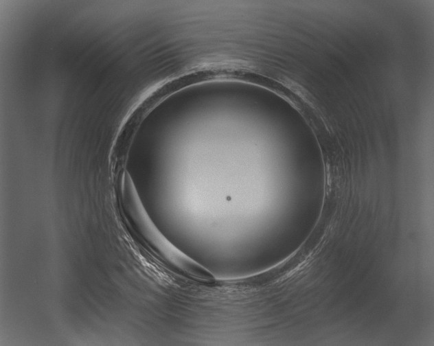 X0000054381022200507291112