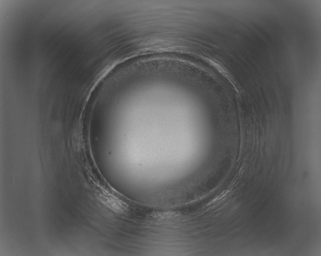 X0000054381023200507291112