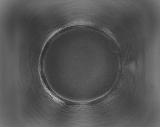 X0000054381024200507291112