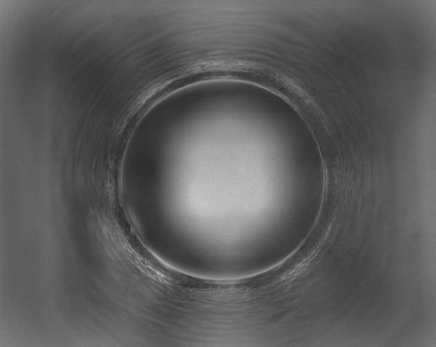 X0000054381025200507291112
