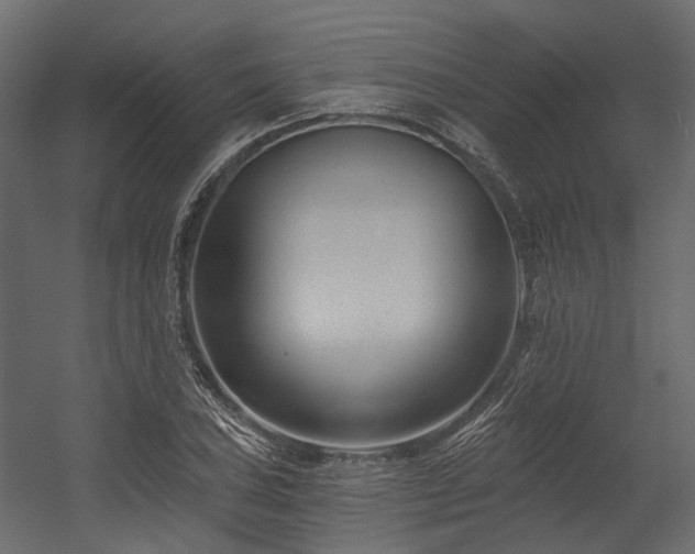 X0000054381027200507291112