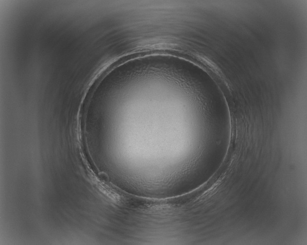 X0000054381031200507291112