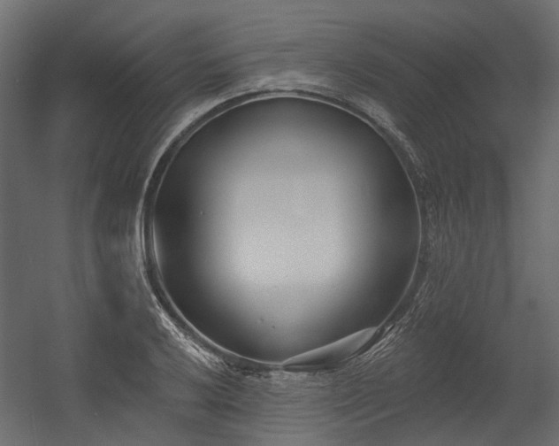 X0000054381032200507291112