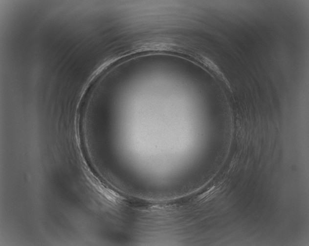 X0000054381035200507291112